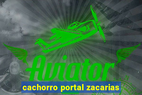 cachorro portal zacarias